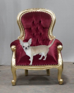 Julius des Petits Mickeys